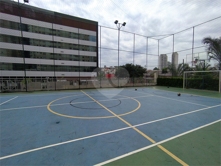 Foto REO547992
