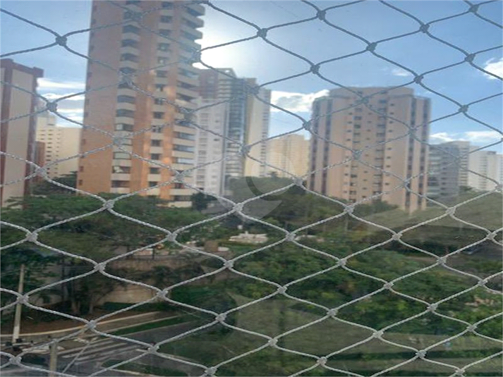 Foto REO547992