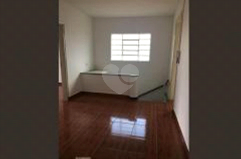 Foto REO548359