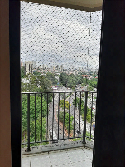 Foto REO548467