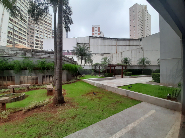 Foto REO548642