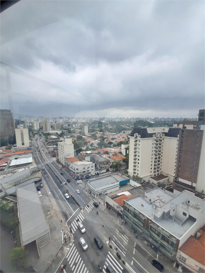 Foto REO548642