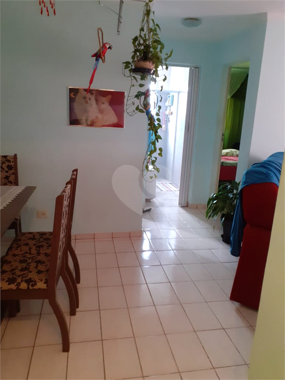 Venda Apartamento Guarulhos Jardim Da Mamãe REO548649 12