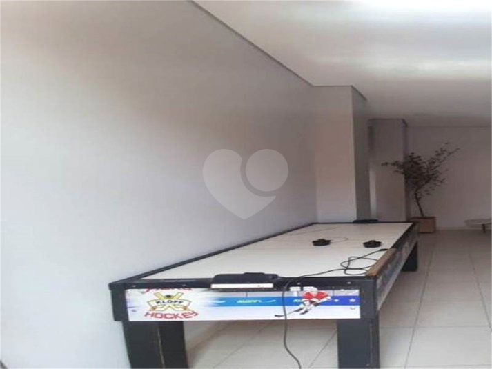 Aluguel Apartamento Indaiatuba Jardim Pompéia REO548986 8