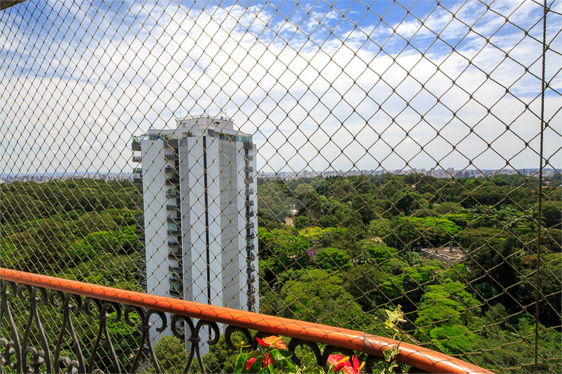 Foto REO549186