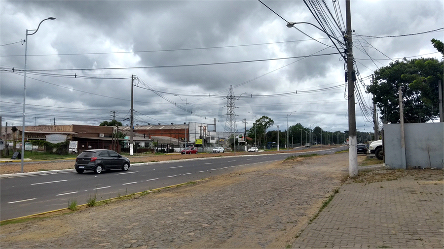 Venda Terreno Gravataí Passos Dos Ferreiros REO549581 8