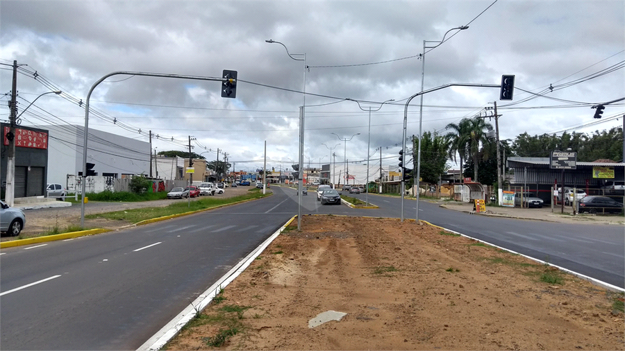 Venda Terreno Gravataí Passos Dos Ferreiros REO549581 4