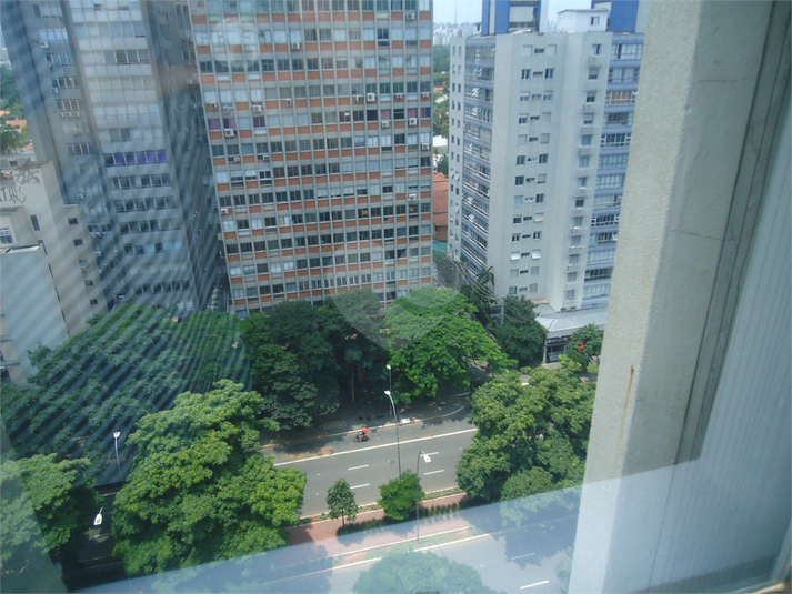Foto REO549701