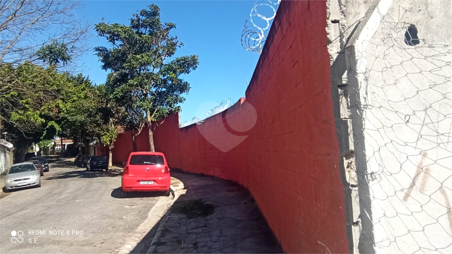 Foto REO549929