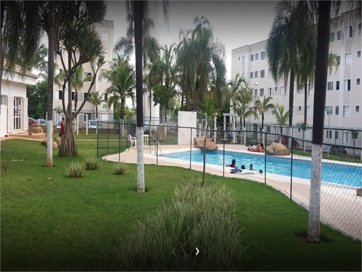 Foto REO551542