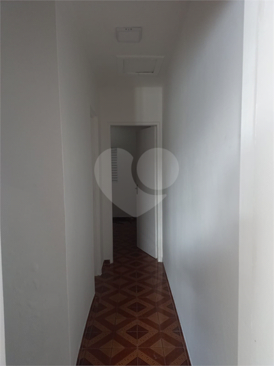 Foto REO551544