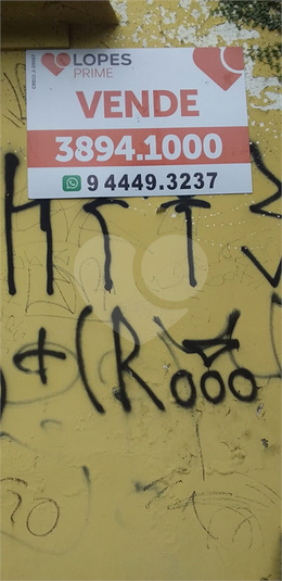 Foto REO551658