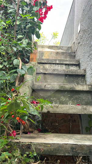 Foto REO55166