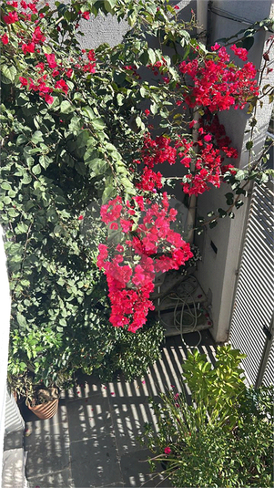 Foto REO55166