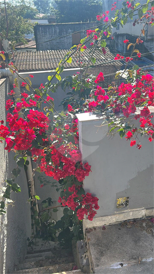 Foto REO55166
