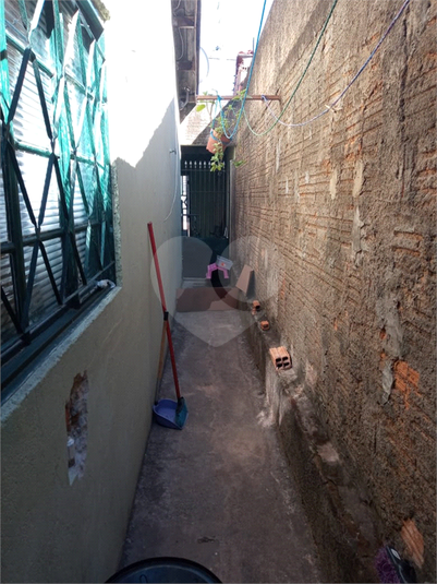 Foto REO551665