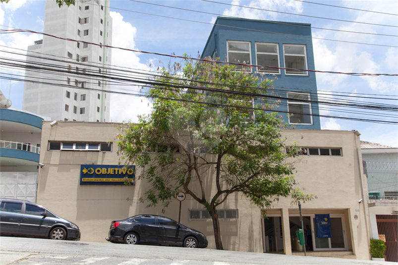 Foto REO551739