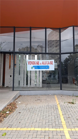 Foto REO551851