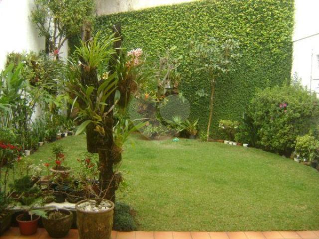 Foto REO55193