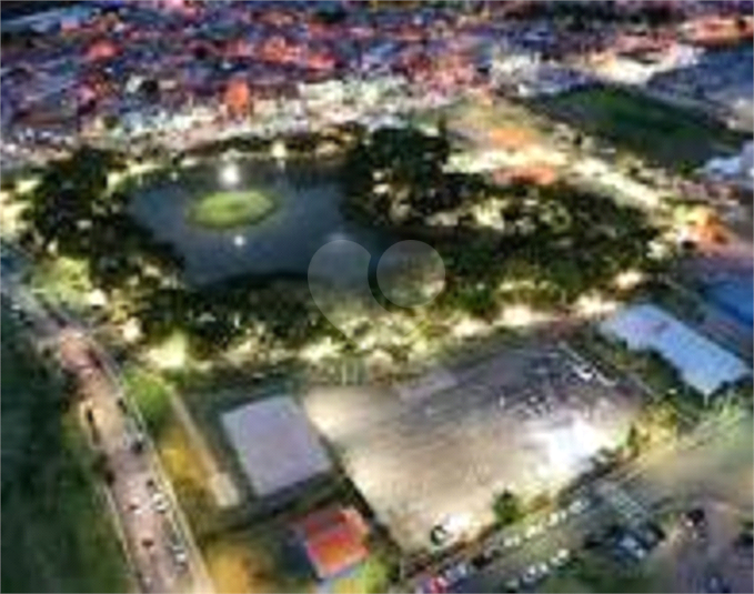 Foto REO552412