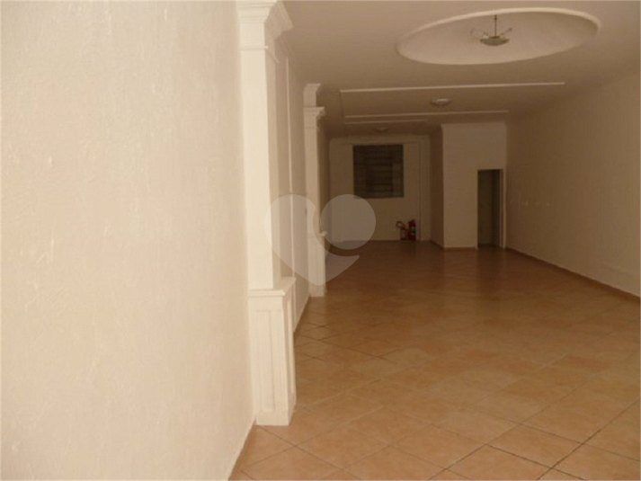 Foto REO552627