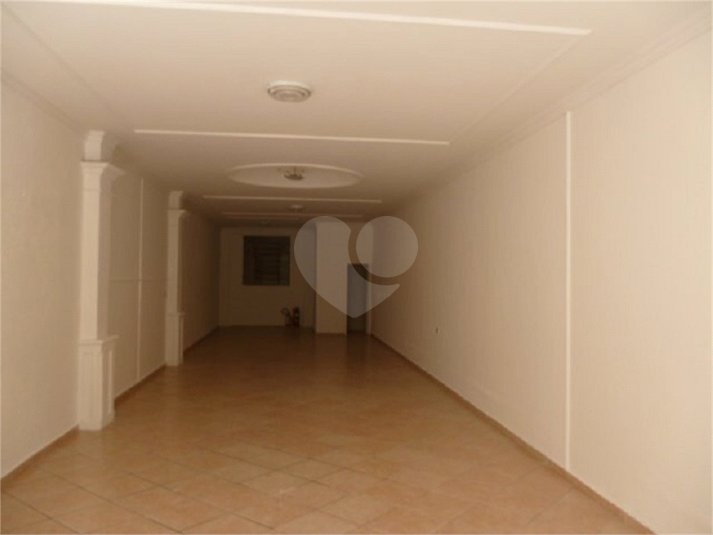 Foto REO552627