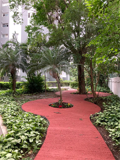 Venda Apartamento São Paulo Jardim Mariliza REO552651 22