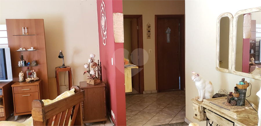 Foto REO552967