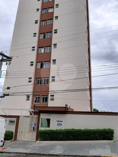 Foto REO553194