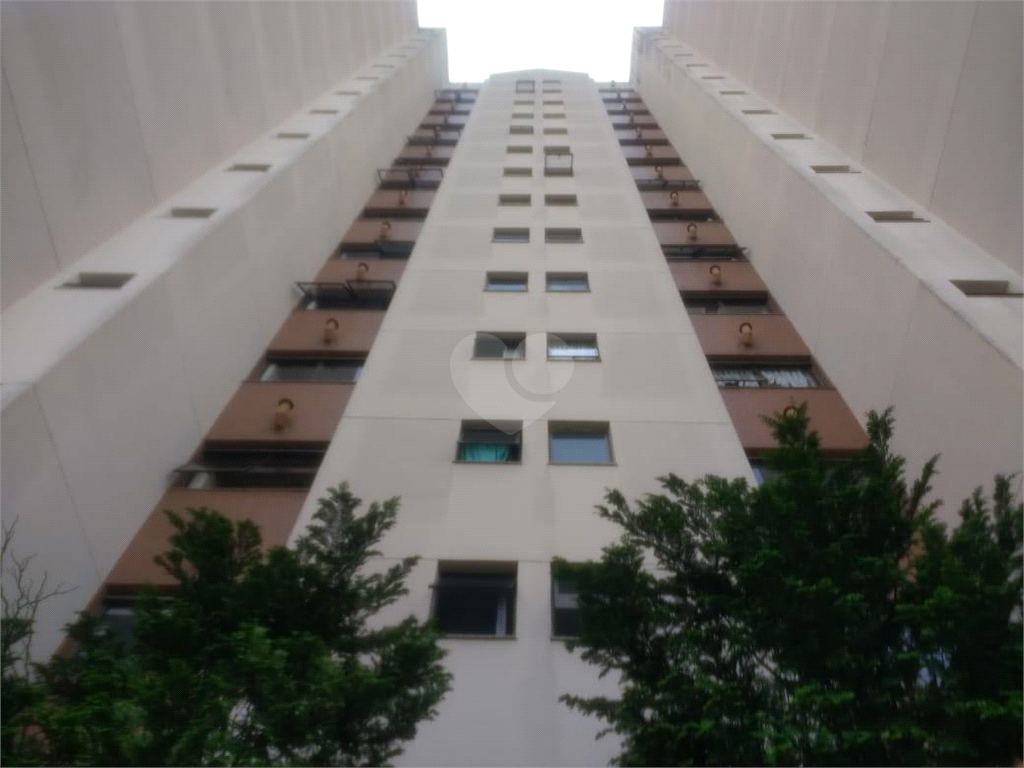 Venda Apartamento São Paulo Jardim Avelino REO553231 22