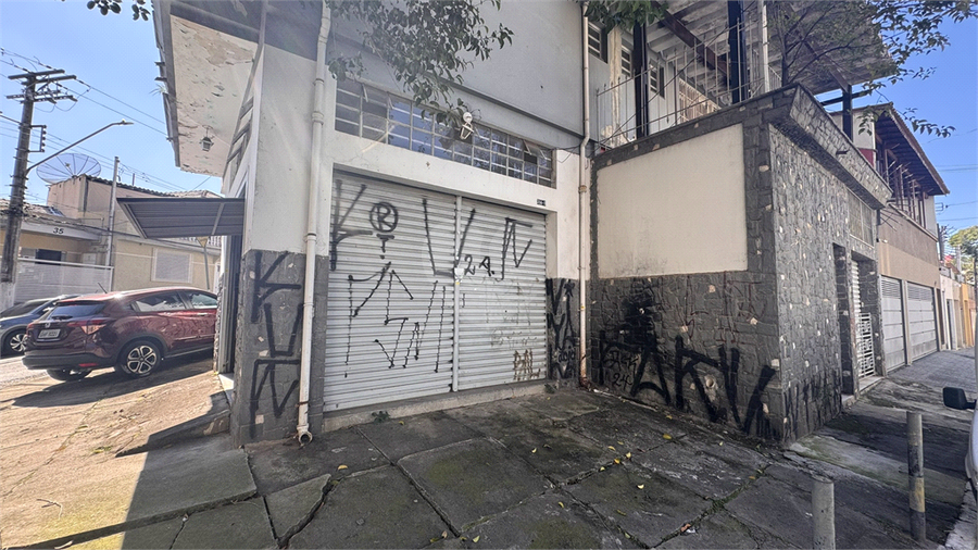 Foto REO553562