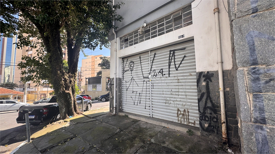 Foto REO553562