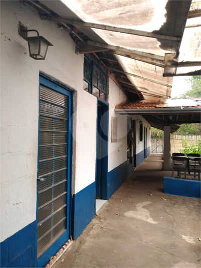 Foto REO553766