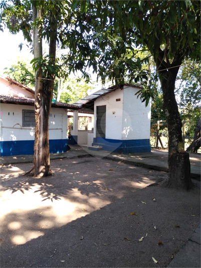 Foto REO553766