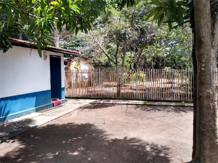 Foto REO553766