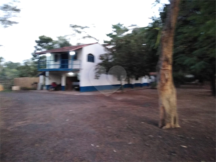 Foto REO553766