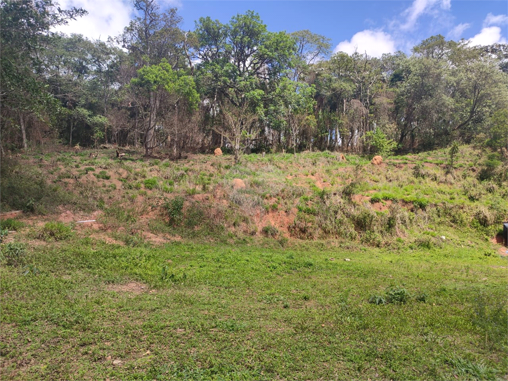 Venda Terreno Mairiporã Terra Preta (terra Preta) REO553916 3