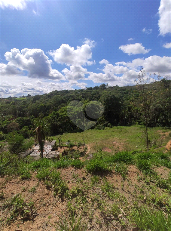 Venda Terreno Mairiporã Terra Preta (terra Preta) REO553916 7