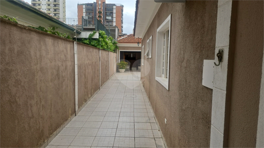 Foto REO554052