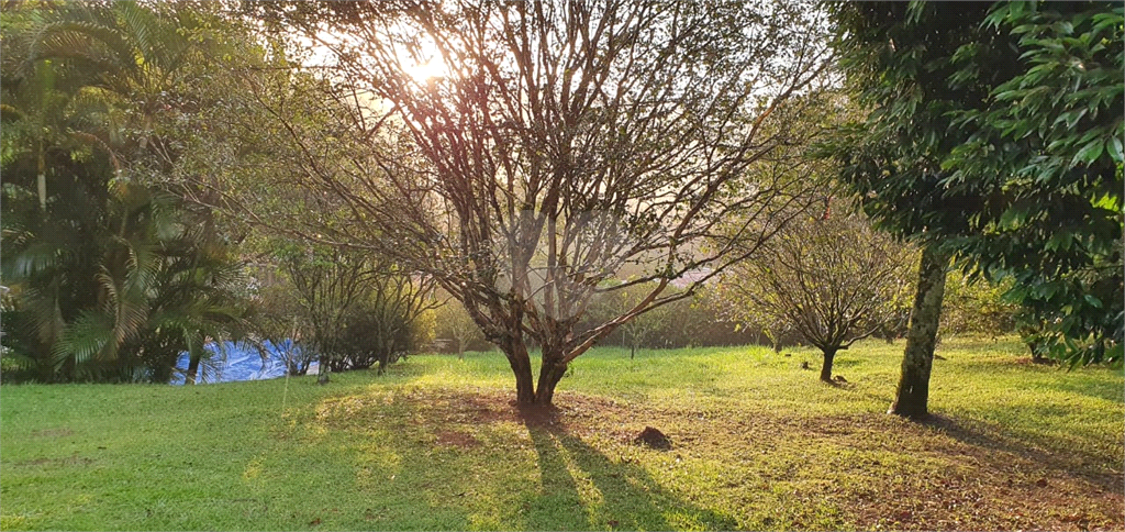 Venda Terreno Mairiporã Serra Da Cantareira REO554849 5