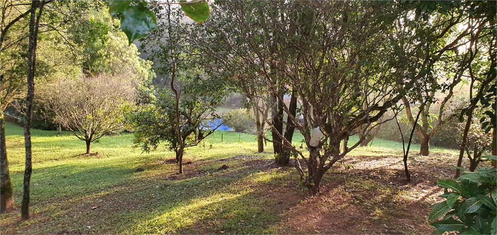 Venda Terreno Mairiporã Serra Da Cantareira REO554849 2