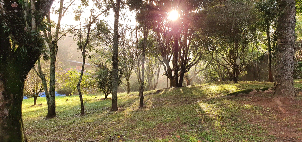 Venda Terreno Mairiporã Serra Da Cantareira REO554849 4