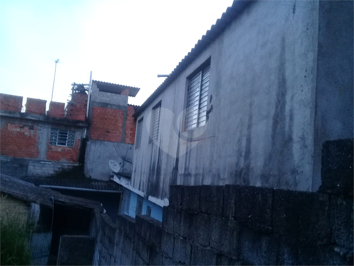 Foto REO555048