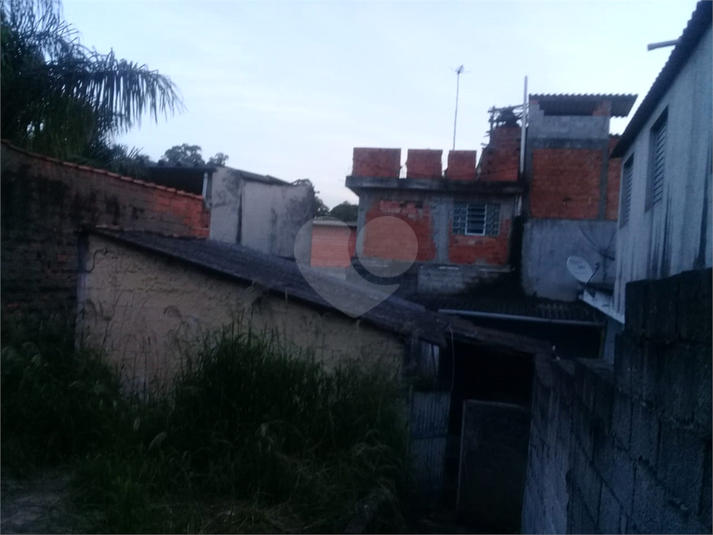 Foto REO555048