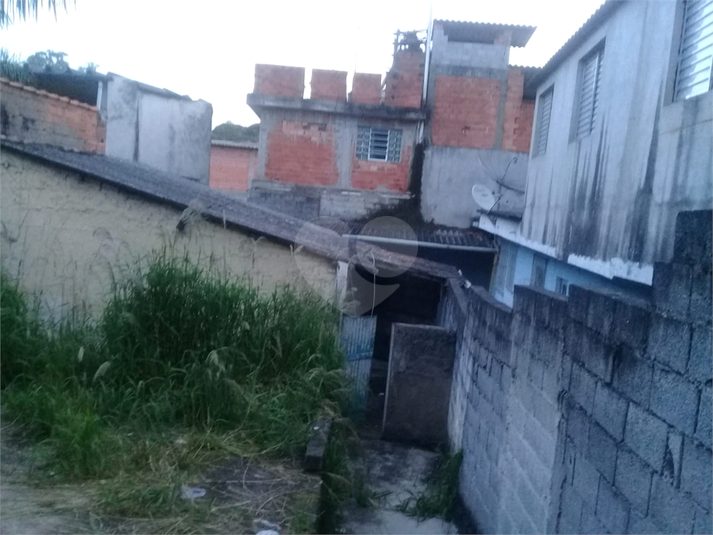 Foto REO555048