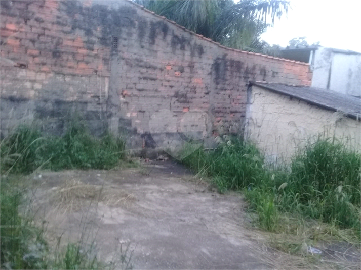 Foto REO555048