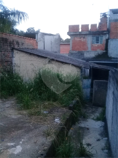 Foto REO555048