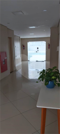 Venda Apartamento São Paulo Lauzane Paulista REO556022 6