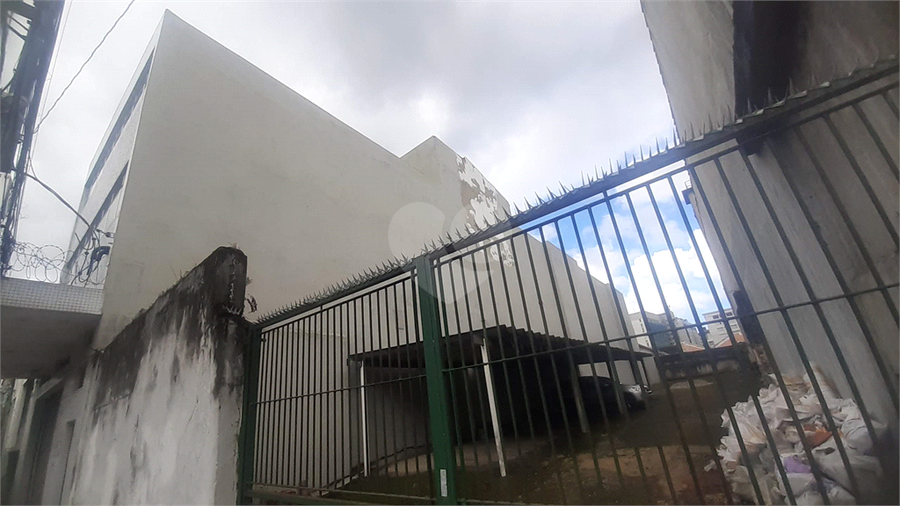Foto REO556105