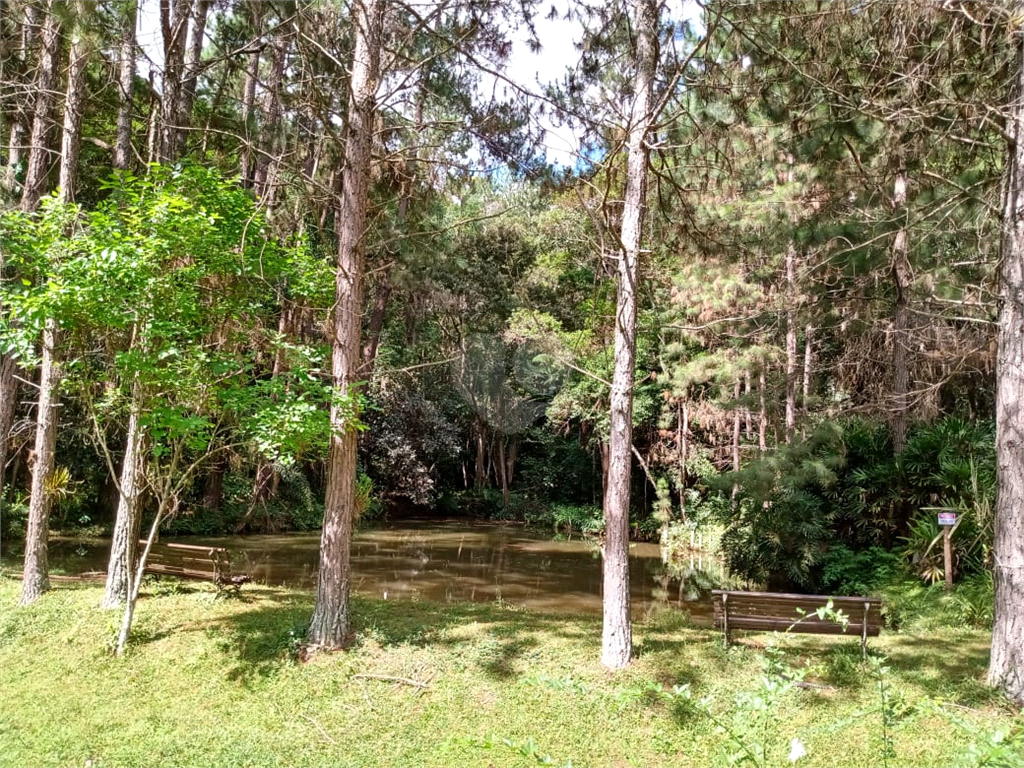 Venda Sítio Cotia Jardim São Luiz (caucaia Do Alto) REO556620 20